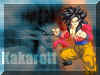 dragon_ball007.jpg (249414 octets)