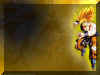 dragon_ball008.jpg (99889 octets)