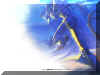 evangelion-12-lrg.jpg (174966 octets)