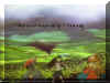 mononoke04.jpg (80406 octets)