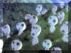 mononoke06.jpg (313508 octets)