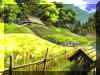 mononoke07.jpg (255538 octets)