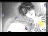 purpleblossom2.jpg (72654 octets)